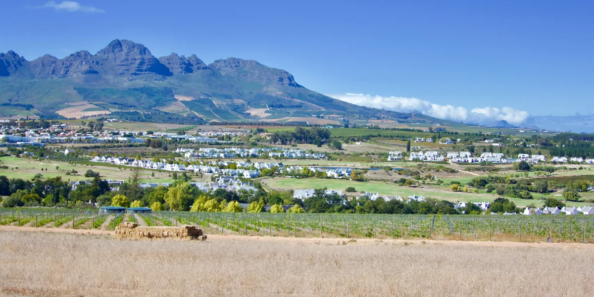 Stellenbosch