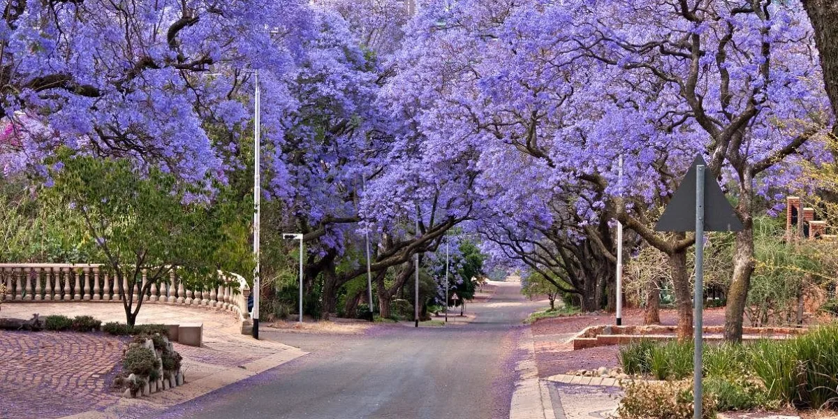 Pretoria